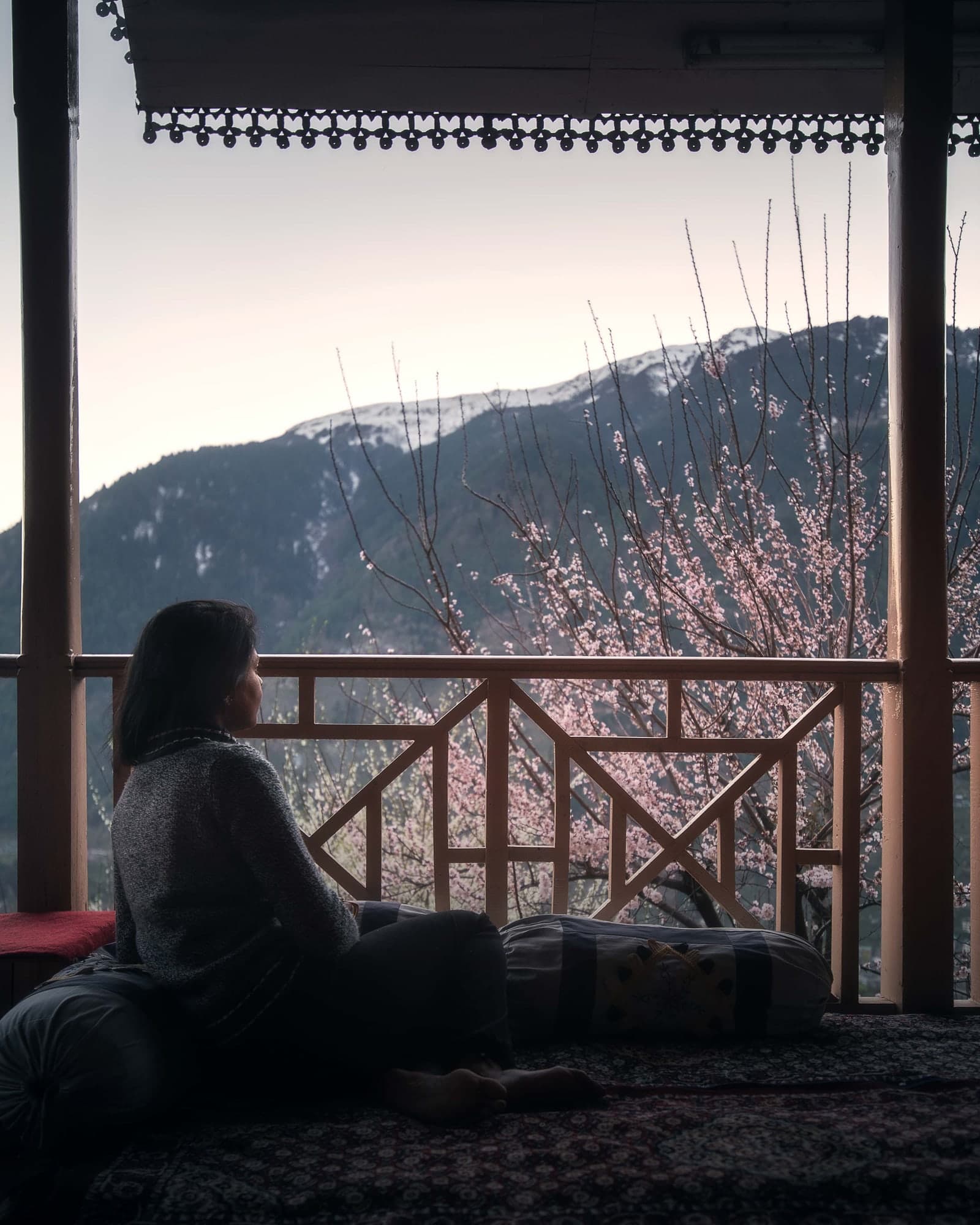 Kavita on the balcony of Mountain Child Home, looking out at the apple blossoms and Himalayan peaks at sunset