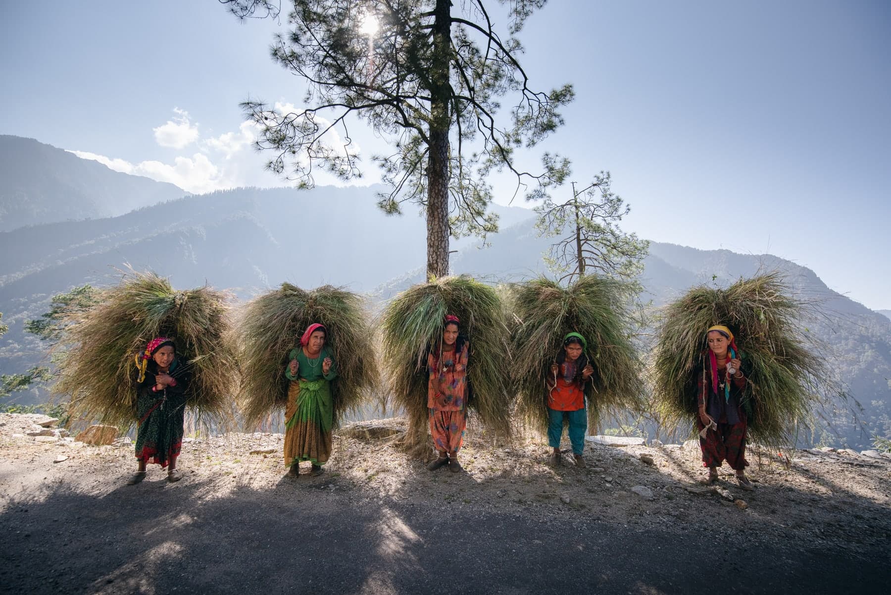 Mountain women in Kullu Valley carrying bundles of grass through the village at dawn